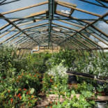 Warung Makan Mbak Pur Außen