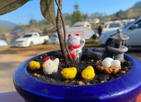 หมอกแก้วรักไทย Mork Kaew Rak Thai Getränk