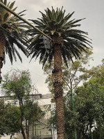 Lǎn Hóu Cóng Lín Kā Fēi Guǎn outside