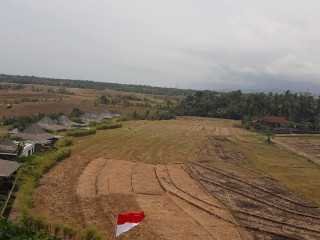 Rm. Kelakai